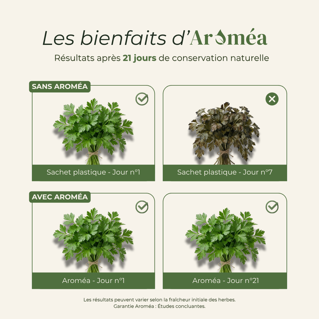 Aroméa - Fini les herbes fanées au fond du frigo